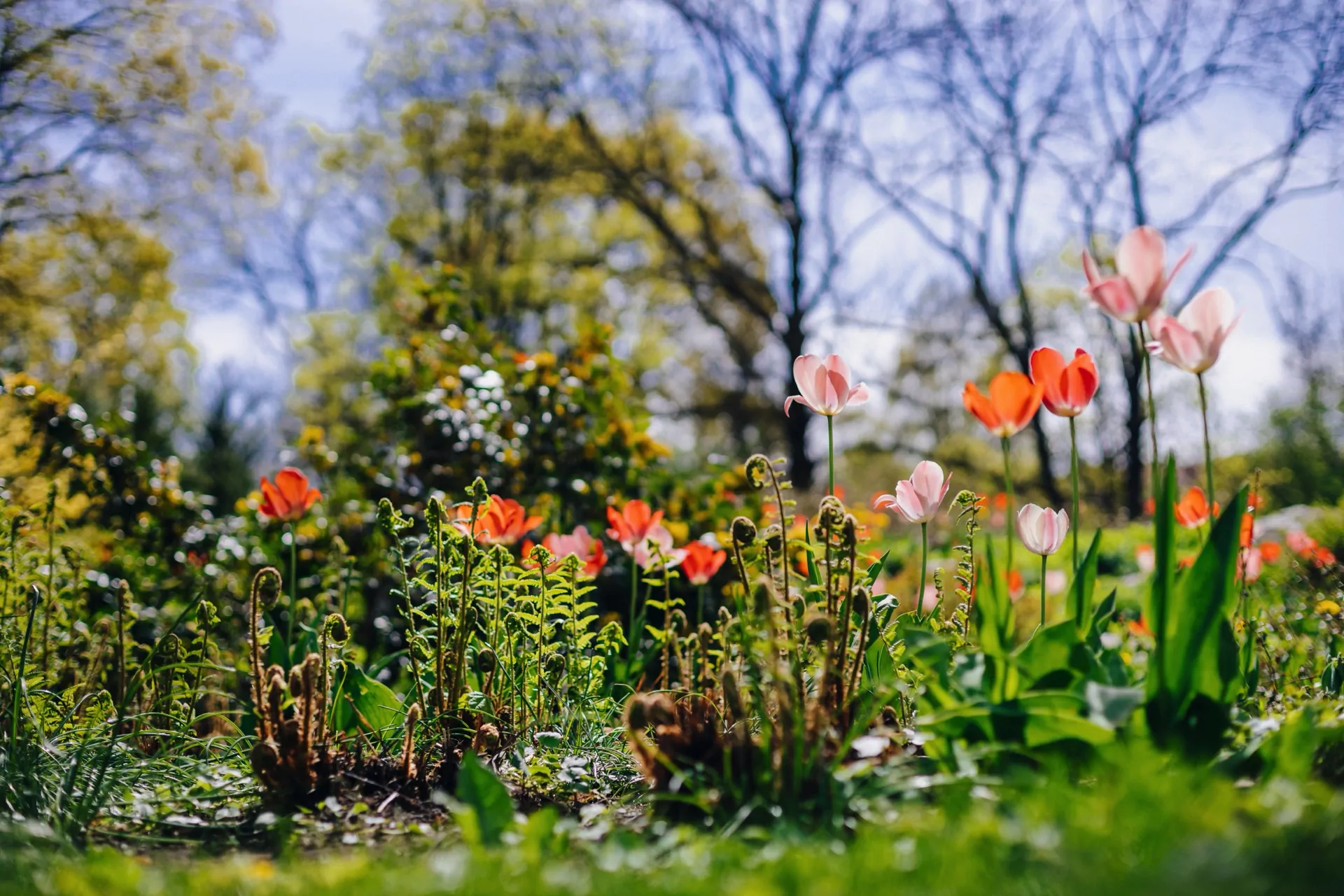 Blumenbeet